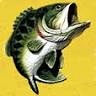 Bass Pro Shops