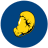 Boksschool BAV Frisia Leeuwarden