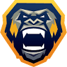 Bay Area Sports Performance and Fitness