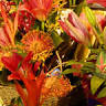 Bay Junction Florist