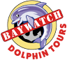 Baywatch Dolphin Tours