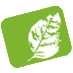 Bazalka Bio