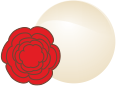 La Rosa e la Perla del Cilento