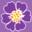 BB Le Violette