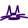 BCN ANIMALS