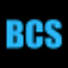 Bergman Consulting Services