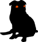 Black Dog Computer Services Ltd