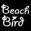 Beach Bird