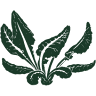 Beach Organics Store
