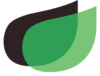 Beanstalk Accountants Canberra
