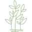 Beanstalk - Because They Grow So Fast