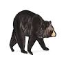 Bear Mountain Lodge