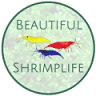 Beautiful Shrimplife