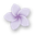 Sophies Beauty-Welt