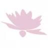 Beauty Bakery