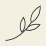 Bebe Organic