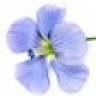 B&B Le Violette