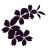 Bed and Breakfast Peschici Gargano B&B Peschici 4 Stagioni B&B a Peschici Centro Economici B&B sul Gargano
