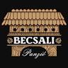 Pensiunea Becsali