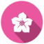 Beehive Floral & Gift