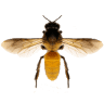 Southwestern Ohio Hive Parts