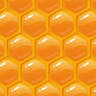 Bee Man of Wisconsin