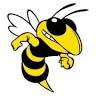 Bee Wise Security Services