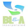Bell Lewis & Associates