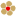 BELLA FLORA