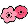 Bella Bloom Florals
