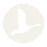 Bella Goose Coffee - Cafe on the River
