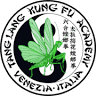 Scuola Wushu Kung Fu Chirignago