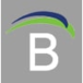 Bell Hankins Realty Group, LLC