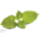 Bellisio Foods