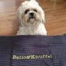BelloundKnuffel Wiehl