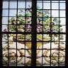 Bello Vetro Stained Glass & Leadlights