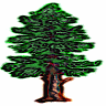 Evergreen Solutions