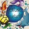 Belrose Kindergarten