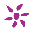 Bel Viso Day Spa and Laser Center