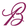 Belvivir Home Decor