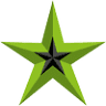 Professional Roofing Company