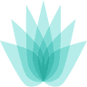 Linfa Wellness Center