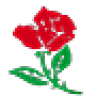 FLORES BENITO HERRERA