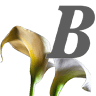 Bennie Smith Funeral Home