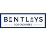 Bentleys Dog Groomers Petersfield
