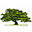 Bent Oak Farm