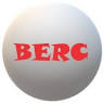 Beogradski razvojni centar- BERC