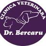 Dr. Bercaru