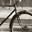 Bergsche Bike Shop