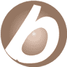 Berino The Art of Beauty